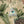 Load image into Gallery viewer, Kapital Gobelin Kome Kome Jotz L Short Pants women
