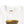 Load image into Gallery viewer, Kapital 20/- Jersey Crew Neck PAW-WAW-T (Flowerpot print) Tee
