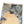 Load image into Gallery viewer, Kapital Rayon Fringe Stole (KAYO HUESO Denim Map) Scarves
