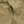Load image into Gallery viewer, Kapital Shirt Chino Thunderbird Husky Western Shirt
