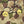 Load image into Gallery viewer, Kapital 60/2 Bear Voice Tank Top (Camouflage Little Bear ; Harmony print) Tee
