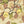 Load image into Gallery viewer, Kapital 20/- Jersey Ringer Tee (Camouflage Little Bear Harmony print)
