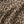 Load image into Gallery viewer, Kapital 12G Leopard Print Wool Bolero Cardigan Jacket women
