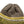 Load image into Gallery viewer, Kapital 3G AIRY Beanie Cap
