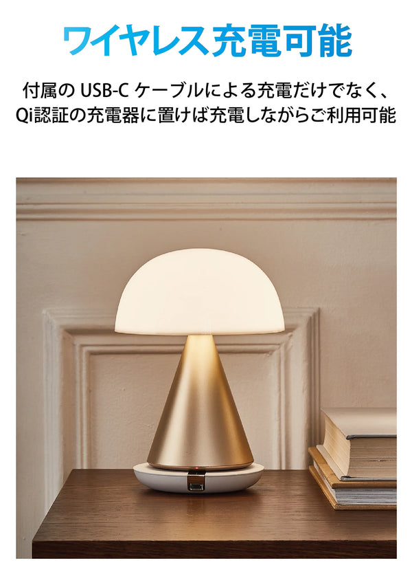 LEXON MINA L LH65 Waterproof LED Lamp