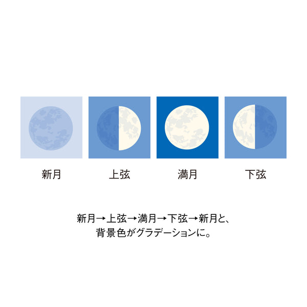 Mini Moon Phase Daily Tear-Off Calendar
