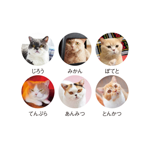 2026 Desk Calendar – “Mikan and Jiro’s Home” Cats Series