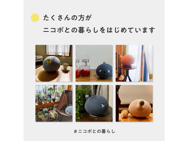 Panasonic NICOBO Companion Robot