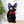 Load image into Gallery viewer, Kiki's Delivery Service Jiji Black Cat Plush Toy S Size
