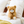 Load image into Gallery viewer, Sekiguchi Playful Teddy Bear Plush Soft Poseable Stuffed Animal
