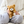 Load image into Gallery viewer, Sekiguchi Playful Teddy Bear Plush Soft Poseable Stuffed Animal

