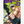 Load image into Gallery viewer, Sakamoto Days Manga Complete Set Vol.1–26 (Latest) - Japanese Edition
