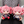 Load image into Gallery viewer, Kasane Teto BIG Sitting Plush 2 Types Set
