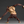 Load image into Gallery viewer, Revoltech Amazing Yamaguchi Beast Titan Action Figure
