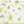 Load image into Gallery viewer, plantica×Wpc Flower Mini Foldable Vinyl Umbrella
