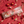 Load image into Gallery viewer, plantica×Wpc Flower Mini Foldable Vinyl Umbrella
