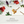 Load image into Gallery viewer, plantica×Wpc Flower Dome Vinyl Umbrella
