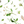Load image into Gallery viewer, plantica×Wpc Flower Dome Vinyl Umbrella
