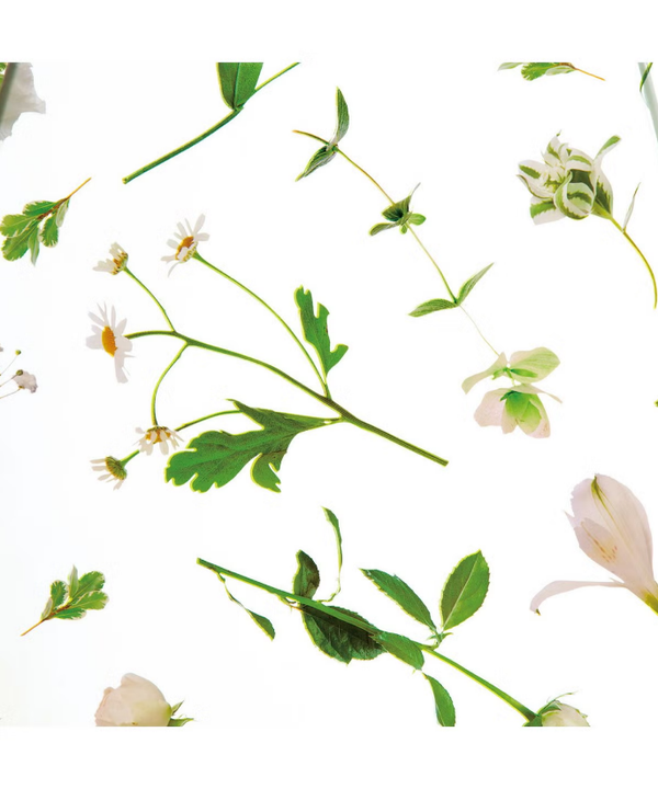 plantica×Wpc Flower Dome Vinyl Umbrella
