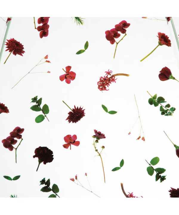 plantica×Wpc Flower Dome Vinyl Umbrella