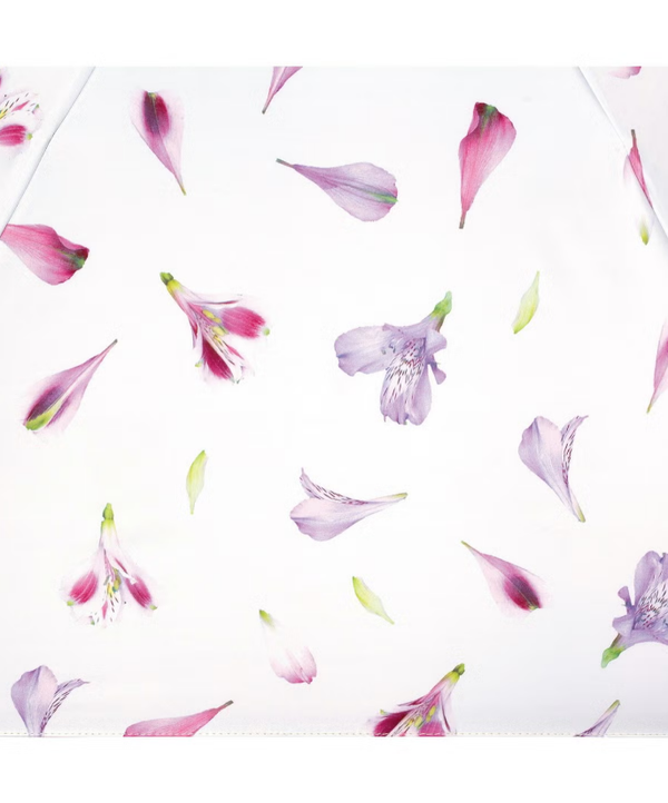 Plantica × Wpc Foldable 100% UV Blocking Umbrella