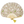 Load image into Gallery viewer, Plantica × Wpc Flower Art Folding Fan
