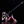 Load image into Gallery viewer, MODEROID Evangelion Unit-08α Model Kit – Non-Scale Action Figure [Pre-order]
