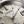 Load image into Gallery viewer, CITIZEN AQ4100-57C Eco-Drive Super Titanium Watch
