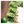 Load image into Gallery viewer, My Neighbor Totoro Forest Photo Frame Totoro Tree Design
