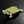 Load image into Gallery viewer, Bandai Ikimono Zukan Advance Kame 02 Turtle Figure Set of 4
