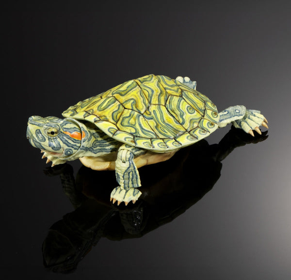 Bandai Ikimono Zukan Advance Kame 02 Turtle Figure Set of 4