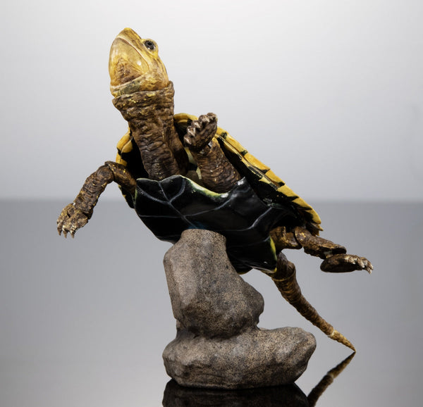 Bandai Ikimono Zukan Advance Kame 02 Turtle Figure Set of 4