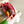 Load image into Gallery viewer, Hobonichi Drawer Pouch Ane Transparent Check PVC Organizer Wallet Large Multi Pocket
