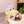 Load image into Gallery viewer, mofusand Fluffy Poncho Meow Plush with Hood – Playful Dinosaur S Size
