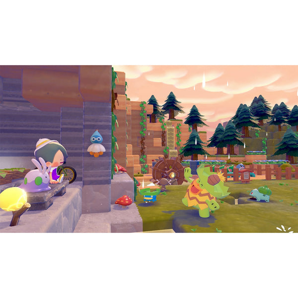 Poko A Pokemon – Nintendo Switch 2 Game Japanese