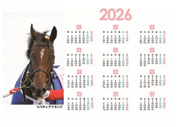 Gallop 2026 Horse Racing Desk Calendar