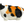 Load image into Gallery viewer, Fatchii Zoo Nyanko Calico Cat Plush – Round Fat Cat Stuffed Toy
