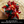 Load image into Gallery viewer, LEGO Botanical Poinsettia Decorative Plant Set
