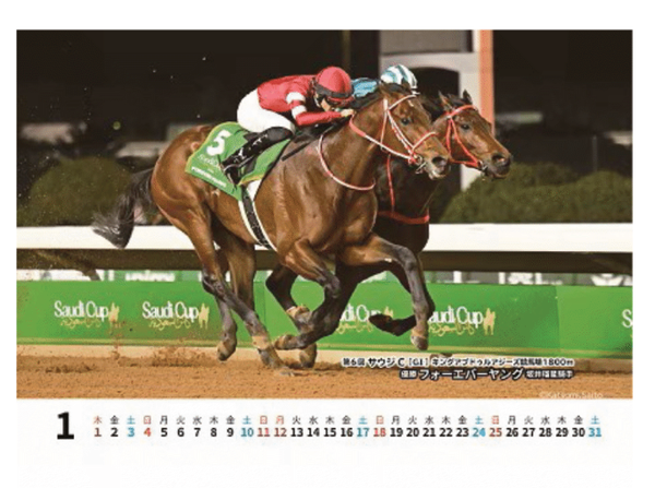 Gallop 2026 Horse Racing Desk Calendar