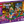 Load image into Gallery viewer, LEGO® Friends 2025 Advent Calendar Mini Figures &amp; Holiday Pets Playset
