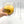 Load image into Gallery viewer, Ankoyama Double Wall Glass Cup

