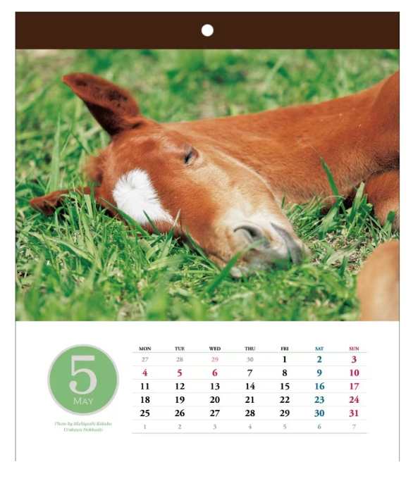 Horseman 2026 Cute Faces Collection Wall Calendar A4
