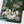 Load image into Gallery viewer, Hobonichi Techo 2027 Moomin Series "A Big Party Night" A6
