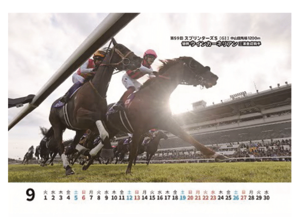Gallop 2026 Horse Racing Desk Calendar