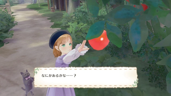 Nintendo Switch Magical Craft Cats & Magical Dresses Simulation Game Japanese