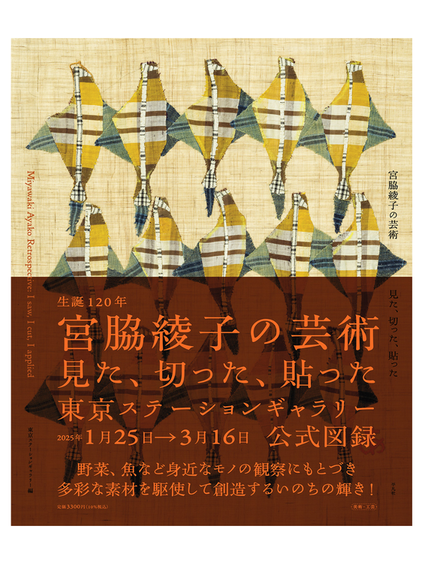 Art Exhibition Catalog Miyawaki Ayako Art Oversized Book Japanese