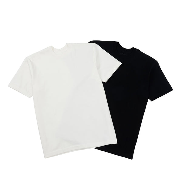 Hanes Men’s 2-Pack Crew Neck Long-Sleeve T-Shirts SHIRO & KURO HM1-D703