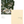 Load image into Gallery viewer, Hobonichi Techo 2026 Moomin Series "A Big Party Night" A5 Planner + Cover
