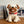 Load image into Gallery viewer, Amagami Ham Ham Apo Interactive Robot Plush Toy
