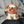 Load image into Gallery viewer, Amagami Ham Ham Apo Interactive Robot Plush Toy
